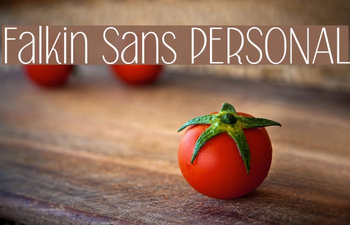 Falkin Sans PERSONAL Example 3