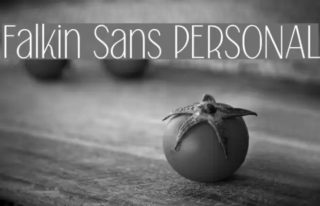 Falkin Sans PERSONAL Font examples
