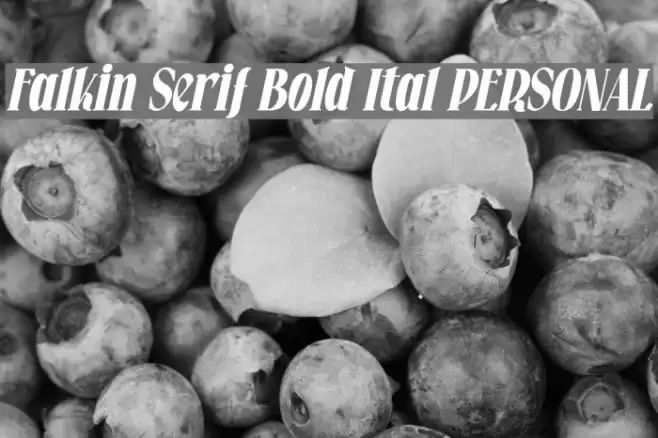 Falkin Serif Bold Ital PERSONAL Font examples