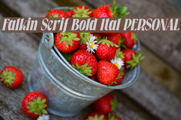 Falkin Serif Bold Ital PERSONAL Example 3