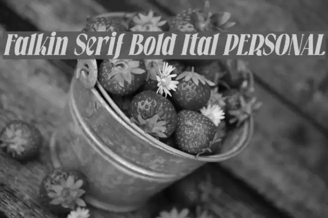 Falkin Serif Bold Ital PERSONAL Font examples