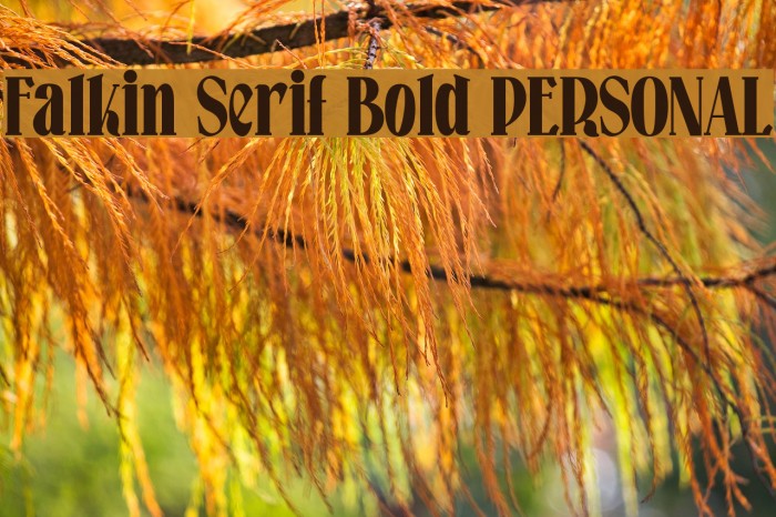 Falkin Serif Bold PERSONAL Font examples