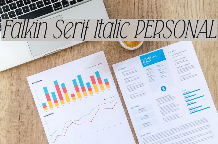 Falkin Serif Italic PERSONAL Font examples