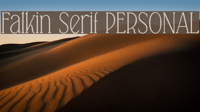 Falkin Serif PERSONAL Example 2