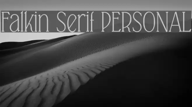 Falkin Serif PERSONAL Font examples