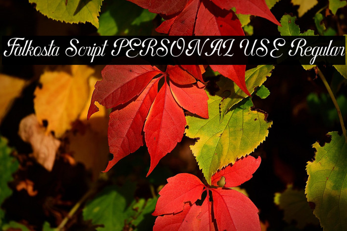 Falkosta Script PERSONAL USE Regular Example 1