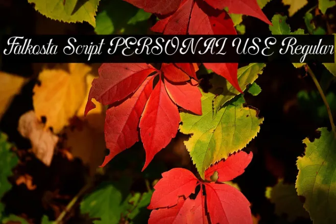 Falkosta Script PERSONAL USE Regular Example 1