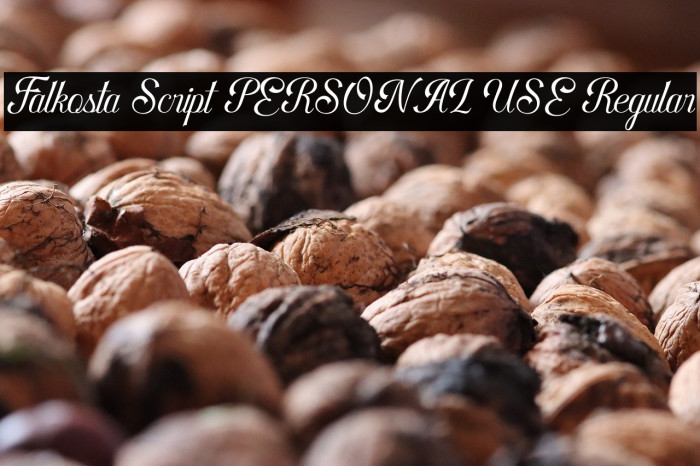 Falkosta Script PERSONAL USE Regular Example 3