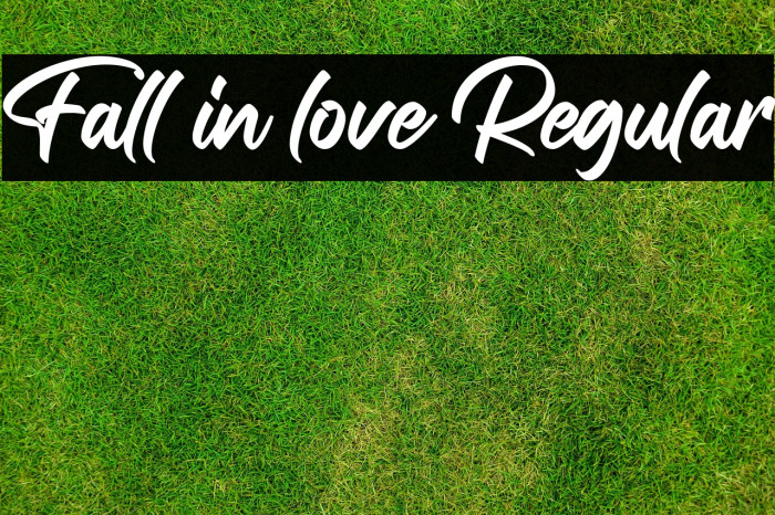 Fall in love Regular Example 3