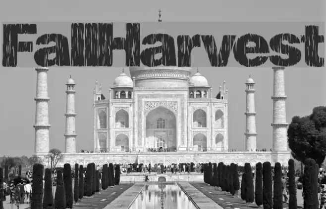 FallHarvest Font examples