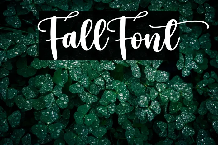 Fall Example 2