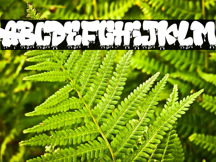 Fallaxe (Drip) Graffiti Example 3