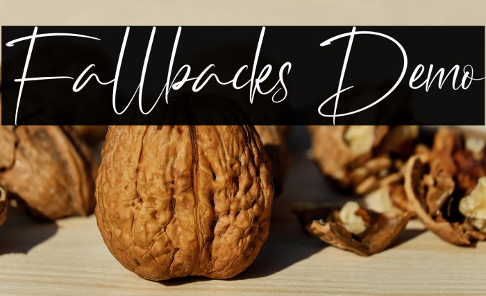 Fallbacks Demo Example 1