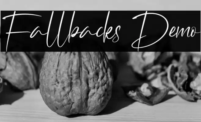 Fallbacks Demo Fuentes examples