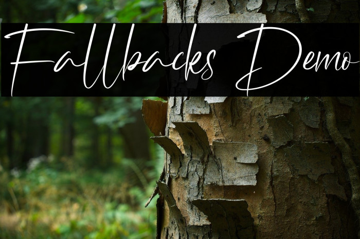 Fallbacks Demo Example 2