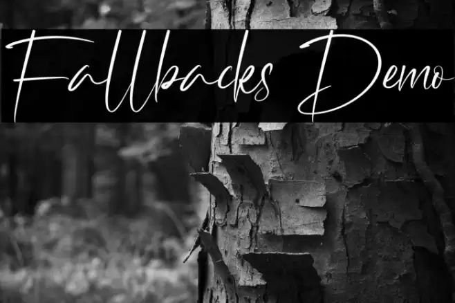 Fallbacks Demo Fuentes examples