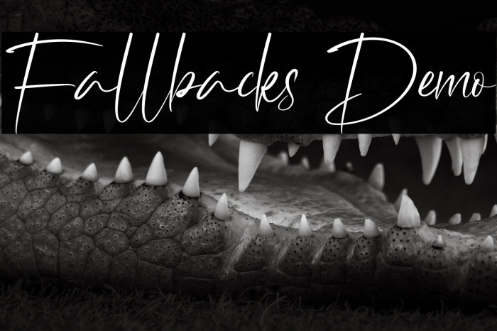 Fallbacks Demo Example 3