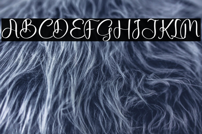 Fallecity Gosttely Example 2