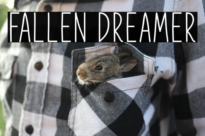 Fallen Dreamer Example 1