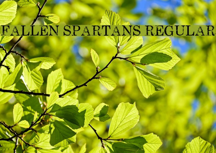 Fallen Spartans Regular Font examples