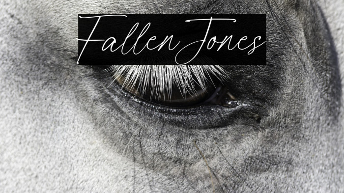 FallenJones Example 1