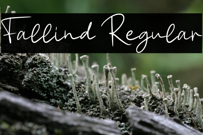 Fallind Regular Example 3