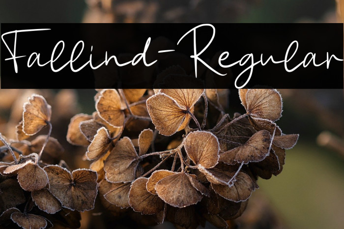 Fallind-Regular Example 1