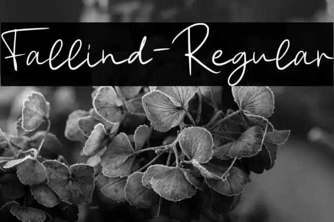 Fallind-Regular Font examples
