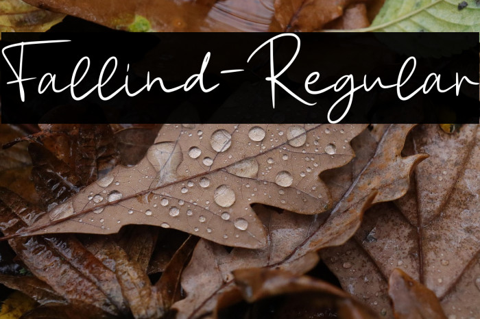 Fallind-Regular Example 2