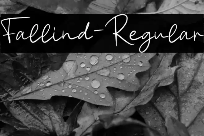 Fallind-Regular Font examples