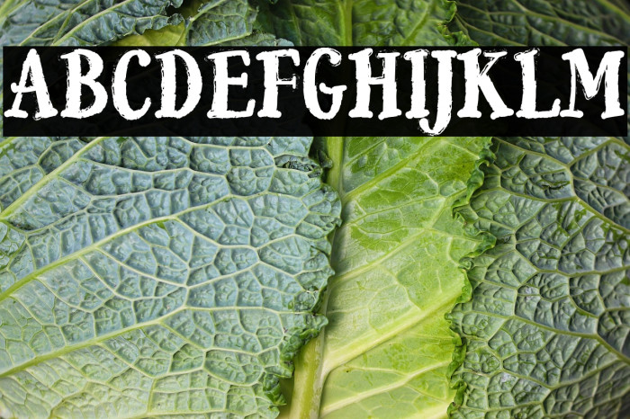 Falling For Autumn Example 1