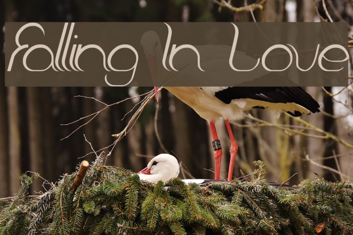 Falling In Love Font examples