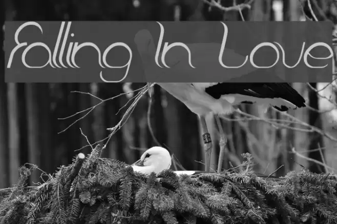 Falling In Love Font examples