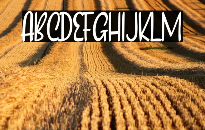 Falling Love Example 2