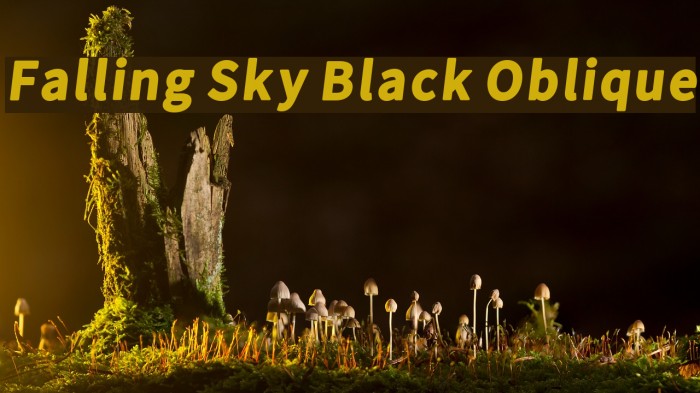 Falling Sky Black Oblique Font examples