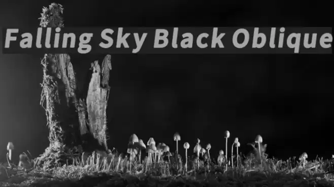 Falling Sky Black Oblique フォント examples