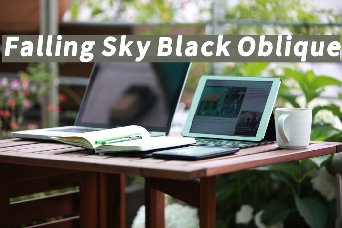Falling Sky Black Oblique Font examples