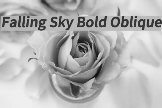 Falling Sky Bold Oblique  examples