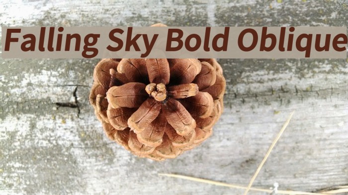 Falling Sky Bold Oblique Font examples