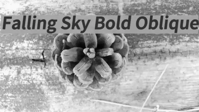 Falling Sky Bold Oblique  examples