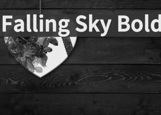 Falling Sky Bold Font examples