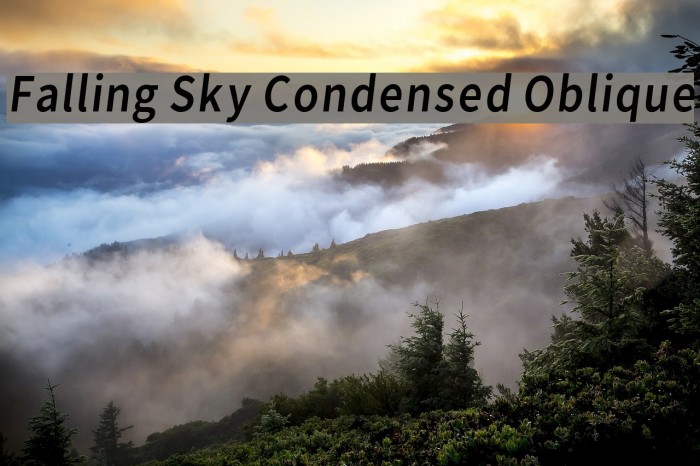 Falling Sky Condensed Oblique Font examples