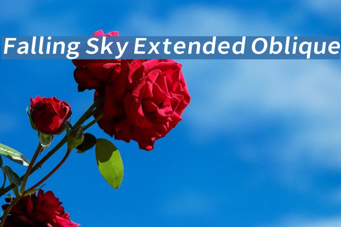 Falling Sky Extended Oblique Font examples