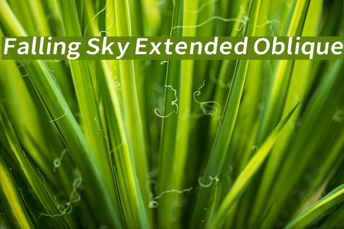 Falling Sky Extended Oblique Font examples