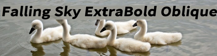 Falling Sky ExtraBold Oblique Font examples