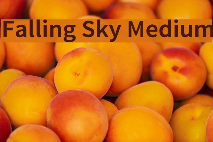 Falling Sky Medium Font examples