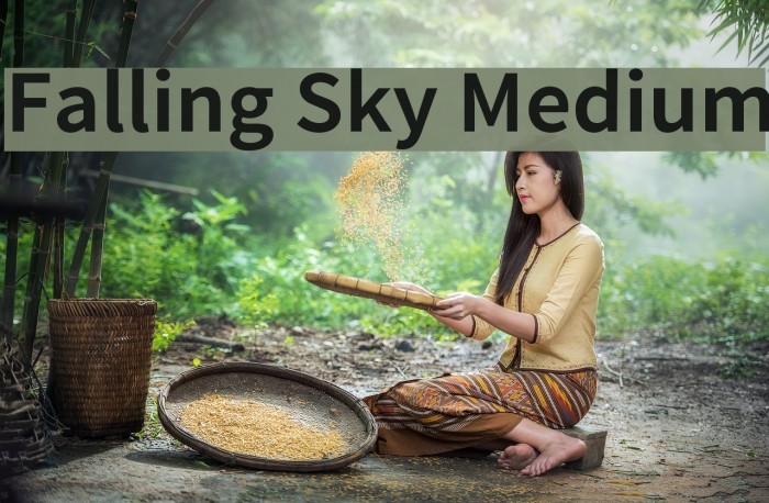 Falling Sky Medium Font examples