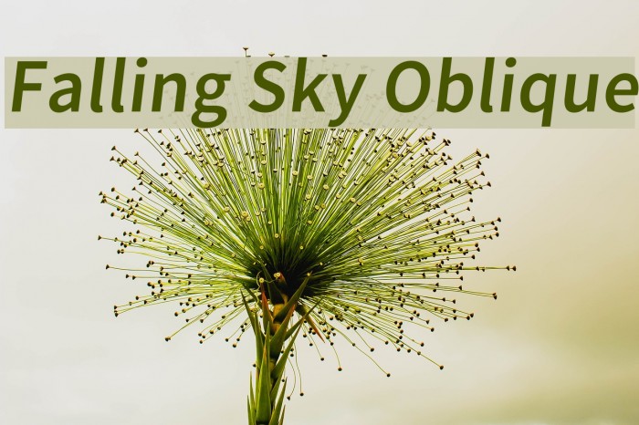 Falling Sky Oblique Font examples