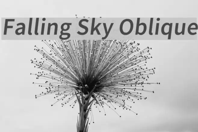 Falling Sky Oblique Font examples