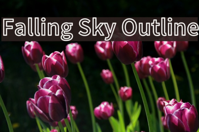 Falling Sky Outline Example 2